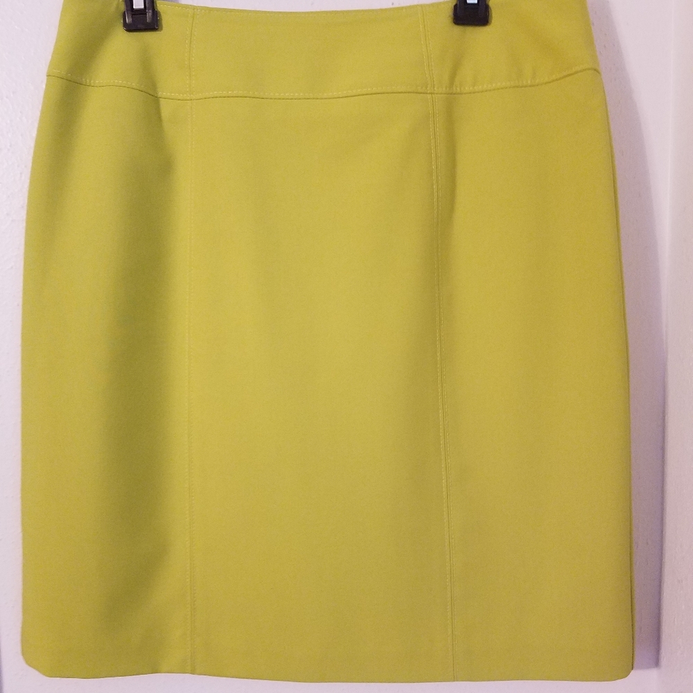 Excellent Condition Business Skirt